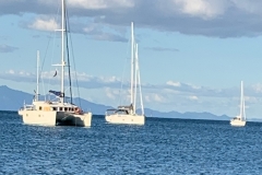 View of Oneroa Beach from the cottage