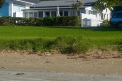 Oneroa Beachfront Cottage Beach steps-to-the-beach
