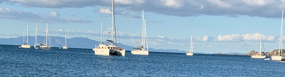 View of Oneroa Beach from Cottage